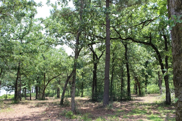 TRACT159 Private Road 1311, Centerville, TX 75833 - photo 15