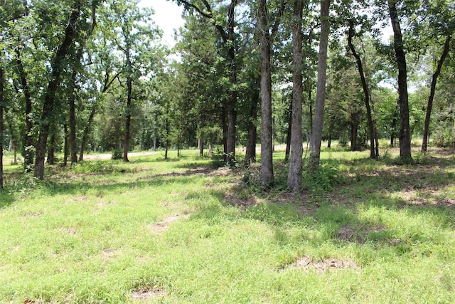 TRACT159 Private Road 1311, Centerville, TX 75833 - photo 16