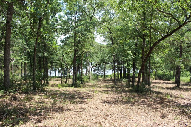 TRACT159 Private Road 1311, Centerville, TX 75833 - photo 17