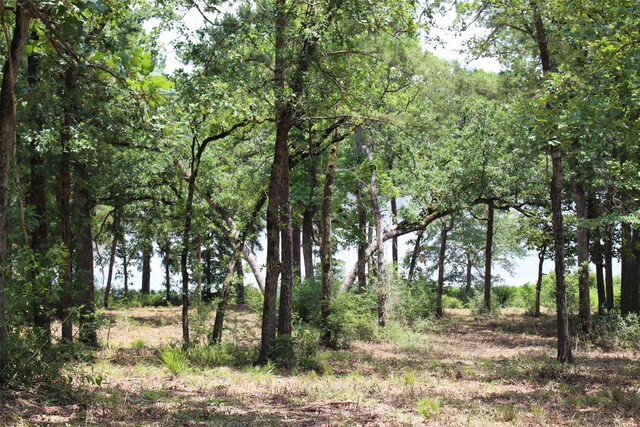 TRACT159 Private Road 1311, Centerville, TX 75833 - photo 18