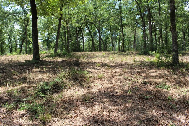 TRACT159 Private Road 1311, Centerville, TX 75833 - photo 21