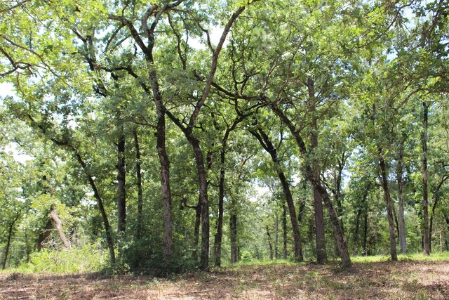 TRACT159 Private Road 1311, Centerville, TX 75833 - photo 22