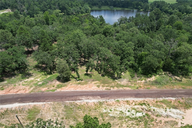 TRACT159 Private Road 1311, Centerville, TX 75833 - photo 25