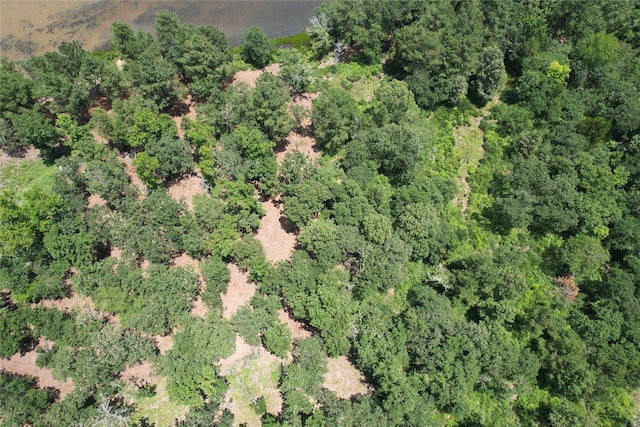 TRACT159 Private Road 1311, Centerville, TX 75833 - photo 26