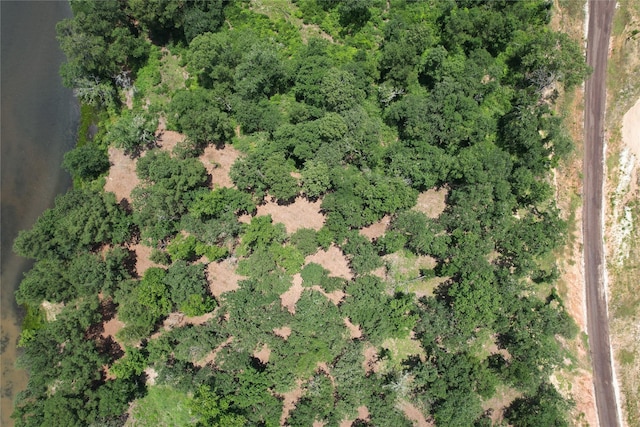 TRACT159 Private Road 1311, Centerville, TX 75833 - photo 27