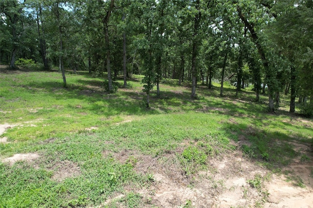 TRACT159 Private Road 1311, Centerville, TX 75833 - photo 29