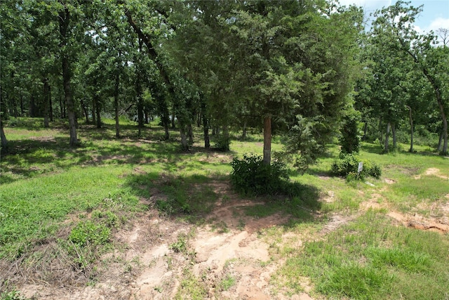 TRACT159 Private Road 1311, Centerville, TX 75833 - photo 30