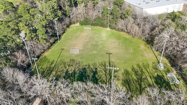 18 S April Mist Cir, The Woodlands, TX 77385 - drone / aerial view
