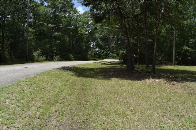 25 Wood Gln, Trinity, TX 75862 - view of asphalt street with a wooded view