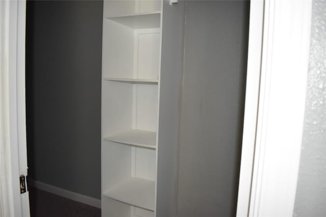 25 Wood Gln, Trinity, TX 75862 - view of closet