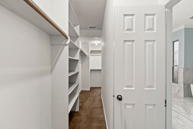 3318 Teawick Ct, Houston, TX 77068 - view of walk in closet
