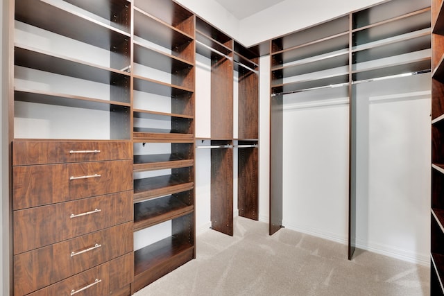 15 Floral Hills Ln, Fulshear, TX 77441 - walk in closet featuring carpet floors