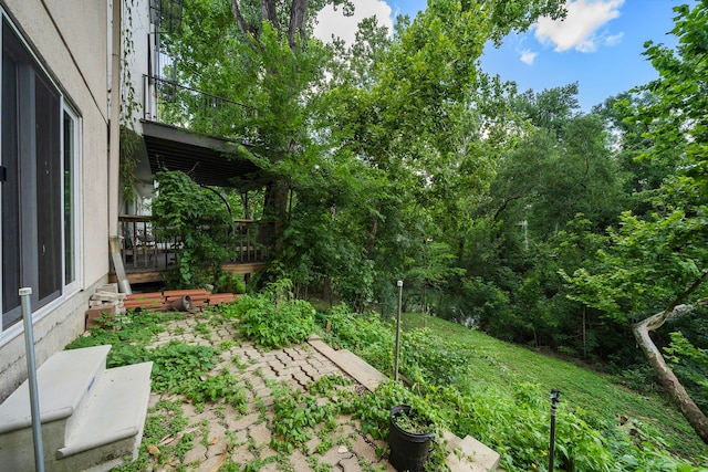 9 Farther Pt, Houston, TX 77024 - view of yard featuring a wooden deck