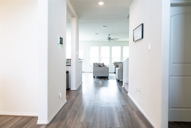 18802 Verdura Dr, New Caney, TX 77357 - hall featuring dark wood-style floors and recessed lighting