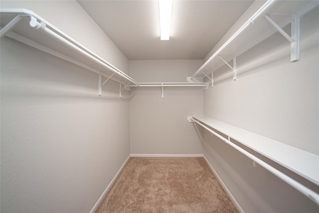 2926 Grand Hawthorne Rd, Conroe, TX 77385 - walk in closet featuring light colored carpet