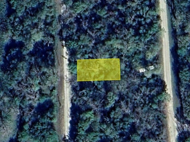 0 Wynne Rd, Trinity, TX 75862