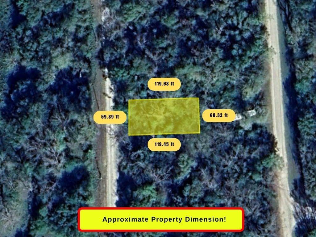 0 Wynne Rd, Trinity, TX 75862
