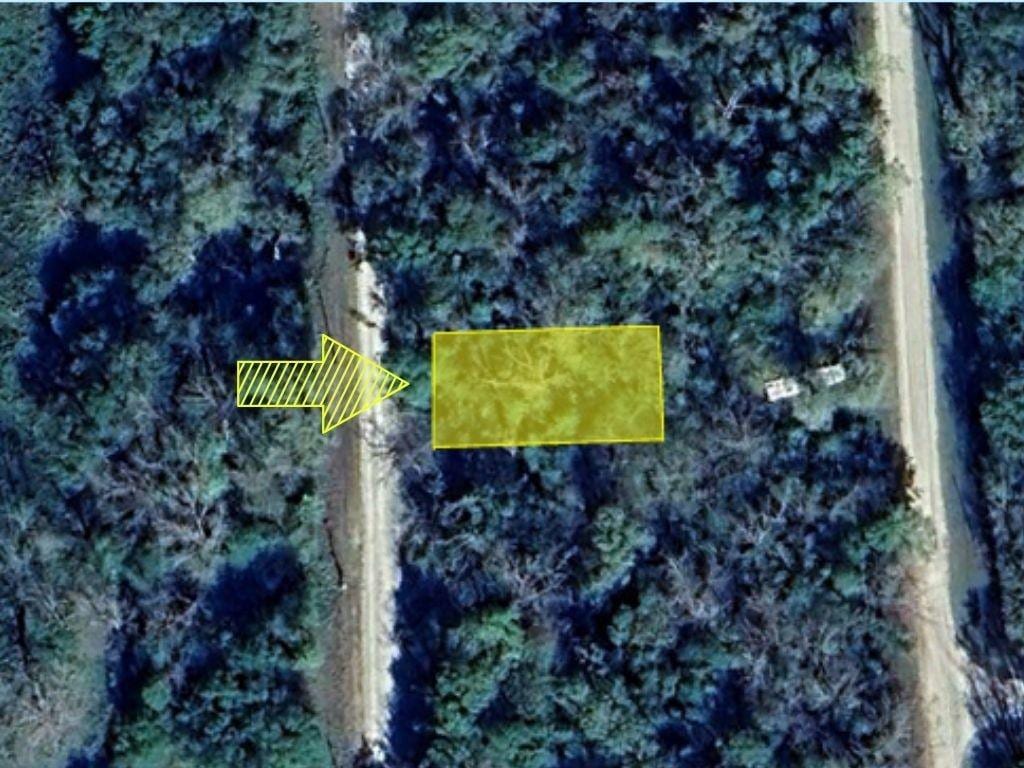 0 Wynne Rd, Trinity, TX 75862