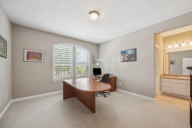 28114 Bayou Cove Ct, Fulshear, TX 77441 - home office featuring light carpet