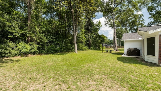 137 County Road 3665, Splendora, TX 77372 - view of grassy yard