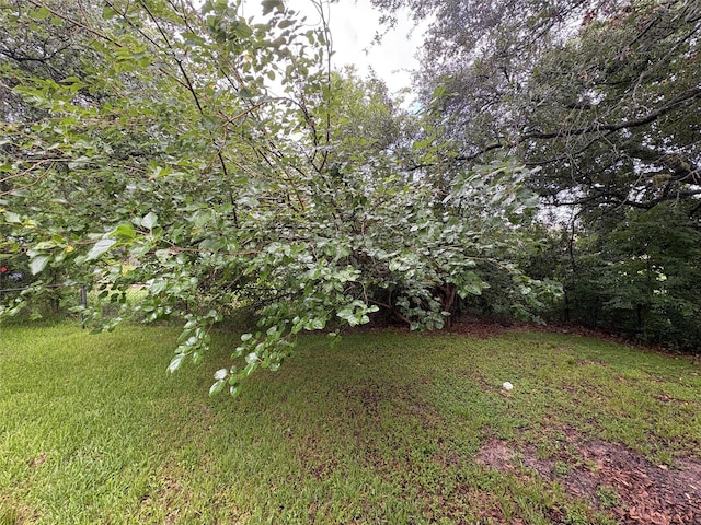 1206 11th St N, Texas City, TX 77590 - view of grassy yard