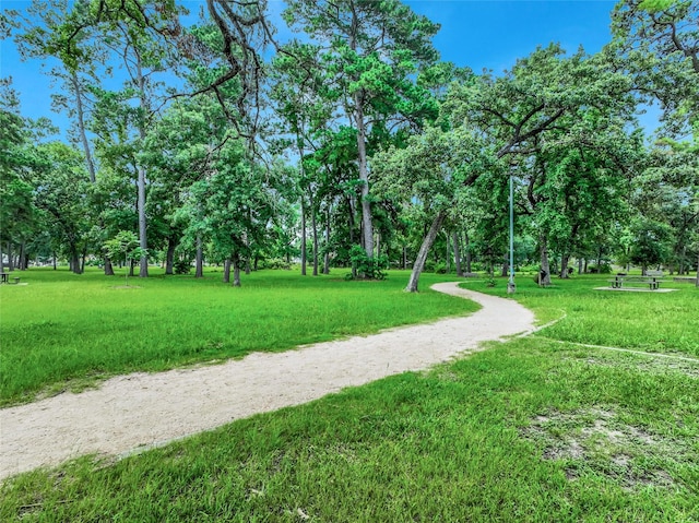 950 Del Norte St, Houston, TX 77018 - photo 44