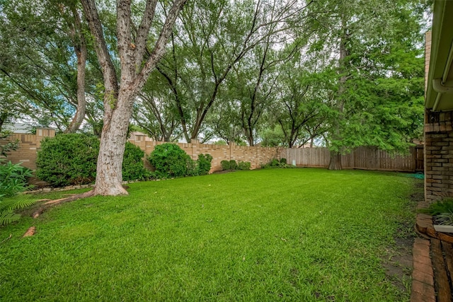 3031 The Highlands Dr, Sugar Land, TX 77478 - view of fenced backyard