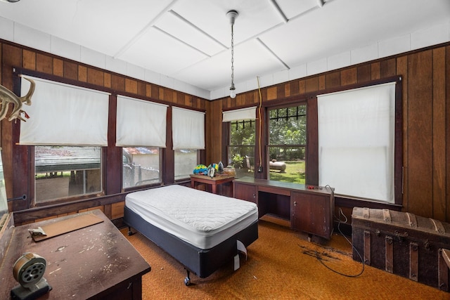 600 Brazos St, Glidden, TX 78943 - bedroom with wooden walls