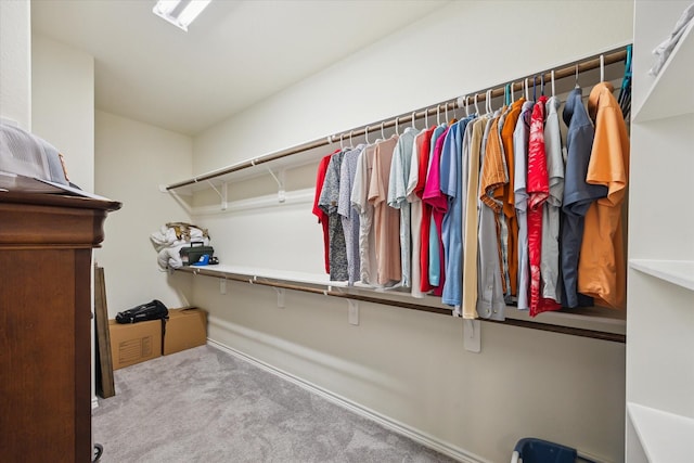 1502 Trails Of Katy Ln, Katy, TX 77494 - walk in closet with carpet