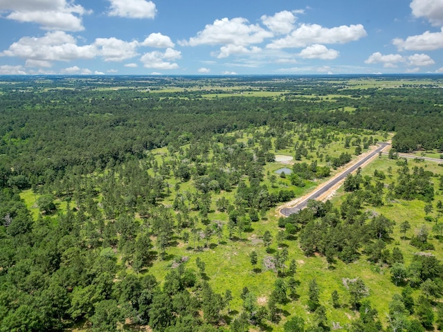 25660 Crocket Rd, Waller, TX 77484 - photo 5