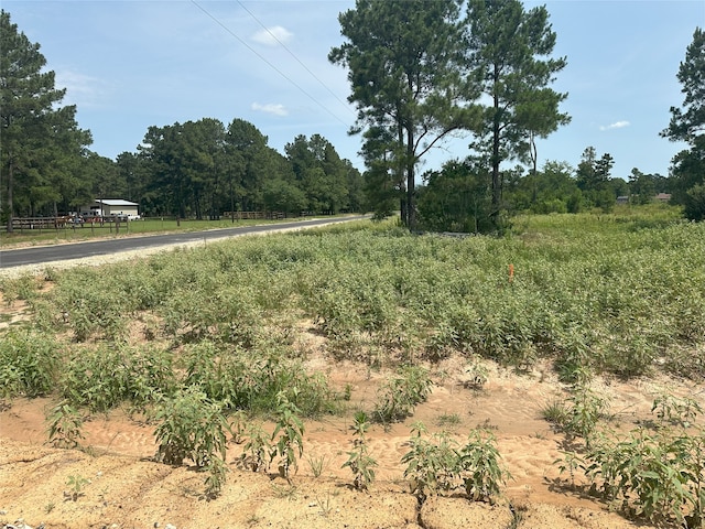 25660 Crocket Rd, Waller, TX 77484 - photo 7
