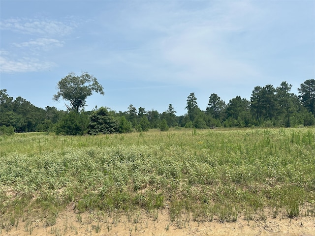 25660 Crocket Rd, Waller, TX 77484 - photo 8