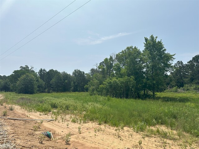 25660 Crocket Rd, Waller, TX 77484 - photo 9
