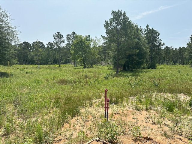 25660 Crocket Rd, Waller, TX 77484 - photo 11