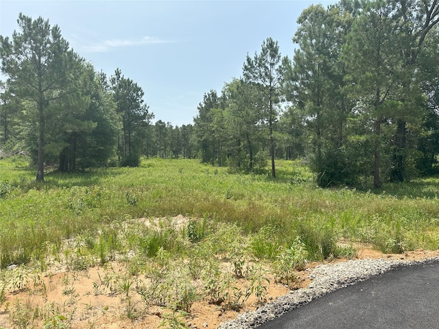 25660 Crocket Rd, Waller, TX 77484 - photo 12