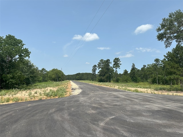 25660 Crocket Rd, Waller, TX 77484 - photo 13