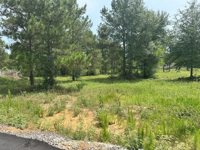 25660 Crocket Rd, Waller, TX 77484 - photo 14