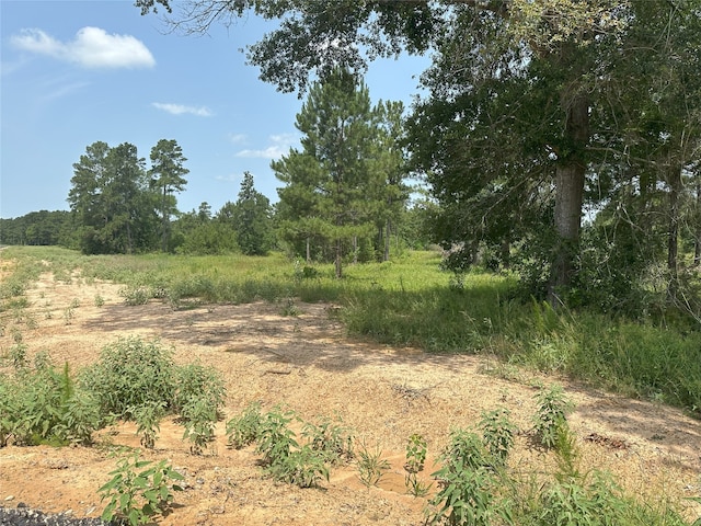 25660 Crocket Rd, Waller, TX 77484 - photo 15