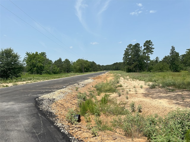 25660 Crocket Rd, Waller, TX 77484 - photo 16