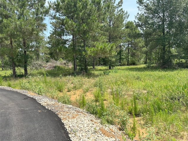 25660 Crocket Rd, Waller, TX 77484 - photo 17