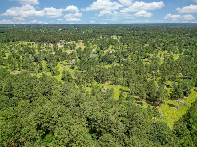 25660 Crocket Rd, Waller, TX 77484 - photo 19