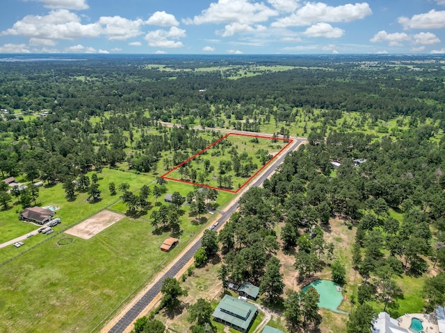 25660 Crocket Rd, Waller, TX 77484 - photo 3