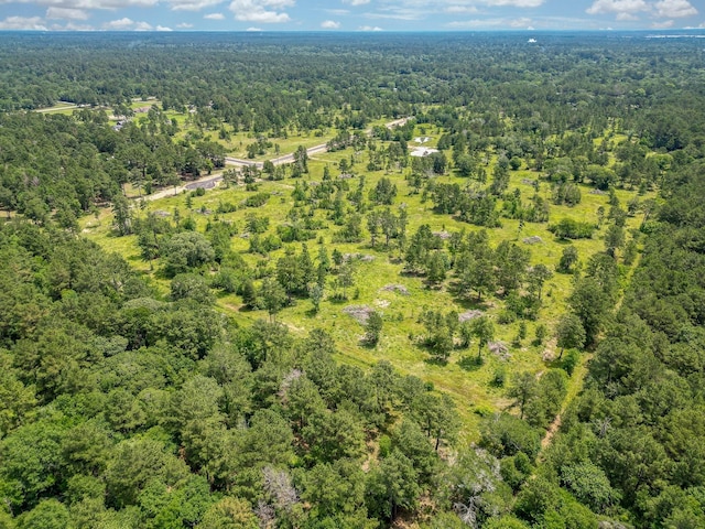 25660 Crocket Rd, Waller, TX 77484 - photo 4