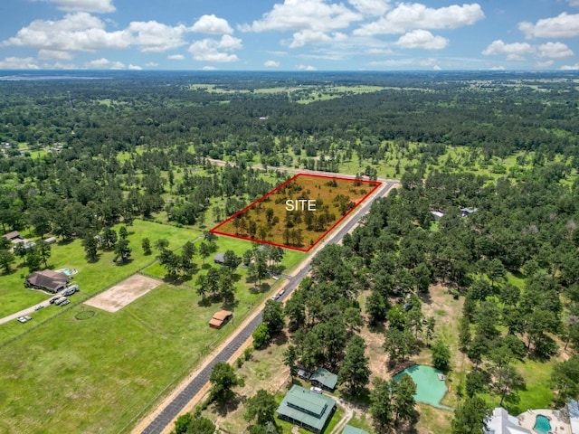 25660 Crocket Rd, Waller, TX 77484 - photo 1