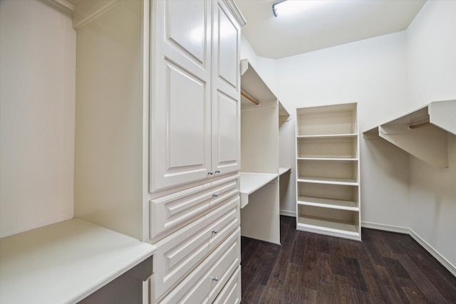 5215 Eagle Pointe Ct, Sugar Land, TX 77479 - walk in closet with dark wood-style flooring and built in study area