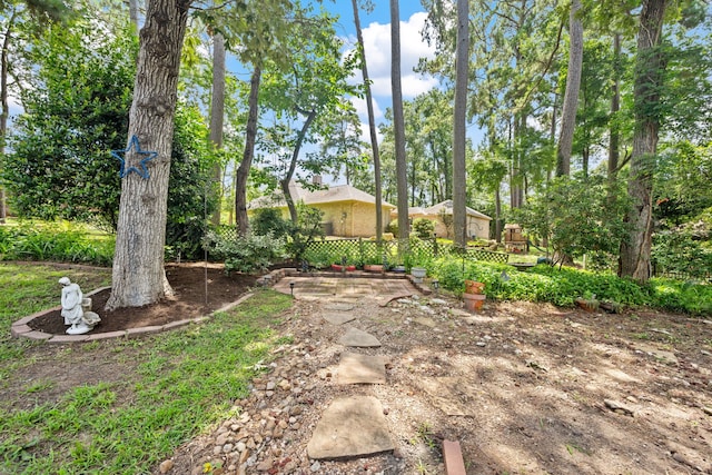 150 Greenbriar Dr, Montgomery, TX 77356 - view of yard