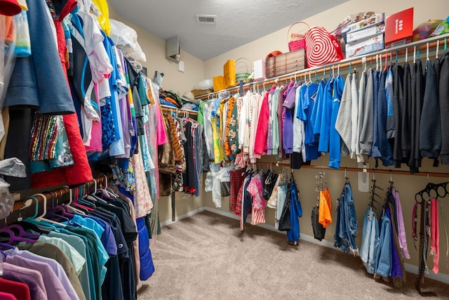 18718 Glenn Haven Estates Dr, Spring, TX 77379 - spacious closet with carpet flooring