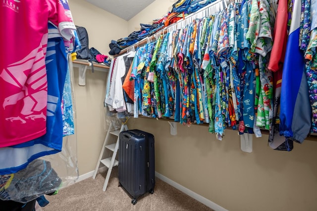 18718 Glenn Haven Estates Dr, Spring, TX 77379 - spacious closet featuring carpet floors