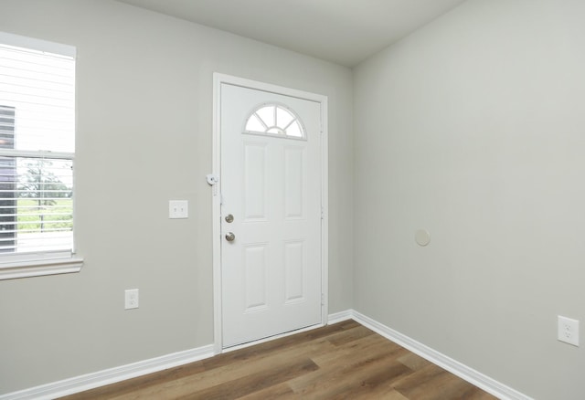 1440 Shepherd St, Hempstead, TX 77445 - entrance foyer featuring plenty of natural light and dark wood-style floors