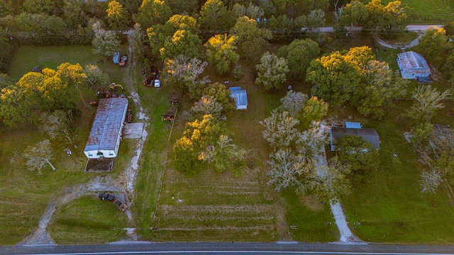 17325 US Highway 59 N, Moscow, TX 75960